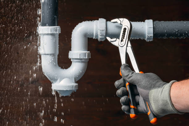 Professional Plumbing technician working in Hampton, IL